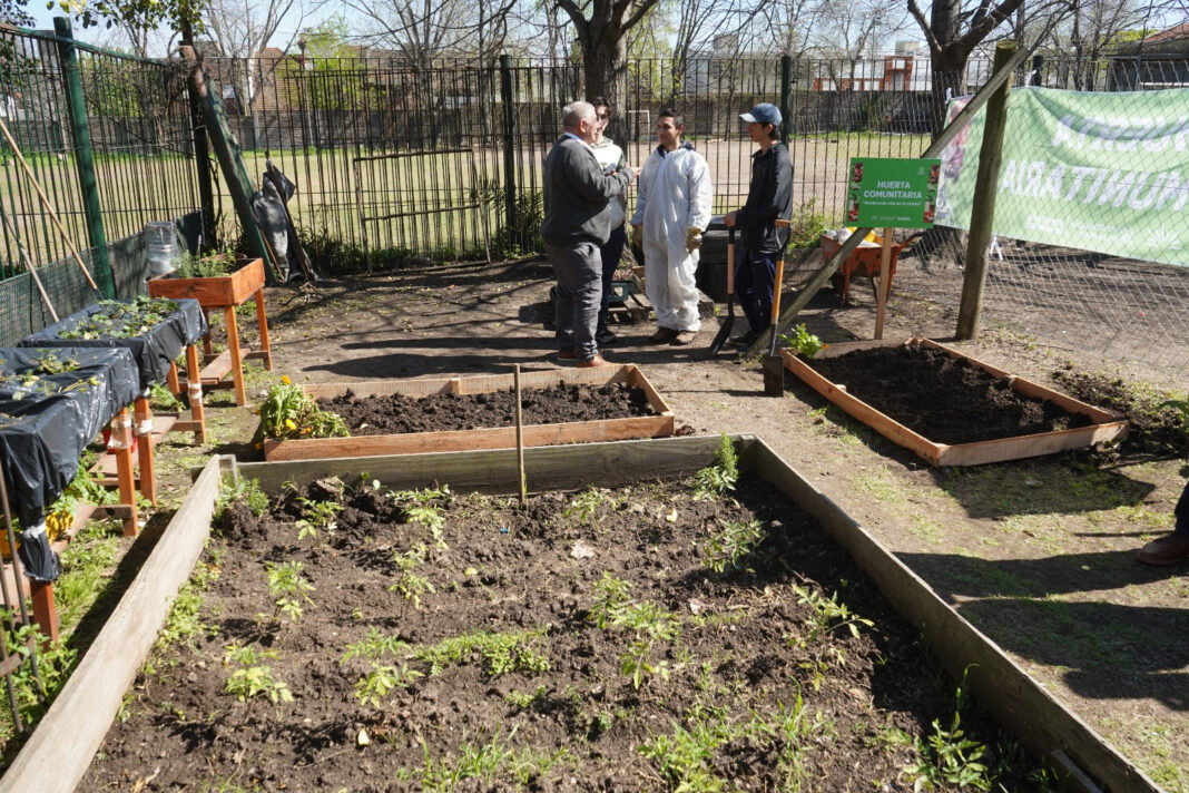 Huerta comunitaria en una escuela de La Plata, con docentes y estudiantes trabajando en el programa municipal.