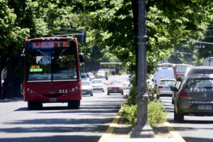 Transporte gratuito en La Plata este domingo: cómo moverse sin pagar boleto por elecciones