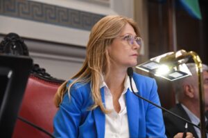 Crónica de un jueves de furia en el Senado