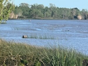Berisso: tras más de dos días de búsqueda hallaron a un joven ahogado en el río de la plata