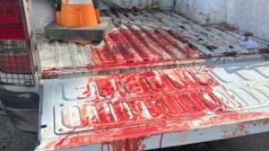 Mar del Plata: un conflicto familiar y la disputa por una casa terminó con un atroz crimen en plena calle