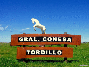 Tordillo, el distrito más chico de la Provincia, es el que tiene más medallas en los Juegos Bonaerenses 2025