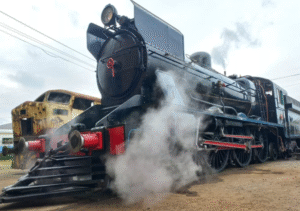 Distintos trenes viajarán desde Constitución a Chascomús en un recorrido histórico e imperdible