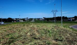 Tandil: Corredores Viales no va ni a cortar el pasto de la Ruta 226 y tuvo que hacerse cargo el municipio