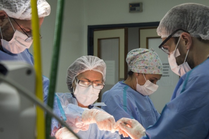 Equipo médico realizando una cirugía de vesícula en un quirófano, en el marco del operativo sanitario de la Provincia de Buenos Aires para realizar 1000 cirugías