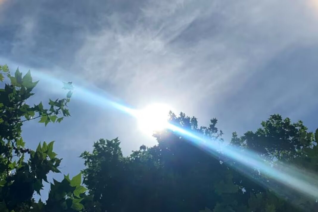 Sol intenso brillando sobre las copas de los árboles en la Provincia de Buenos Aires, reflejando el calor y la humedad elevada del 3 de diciembre.