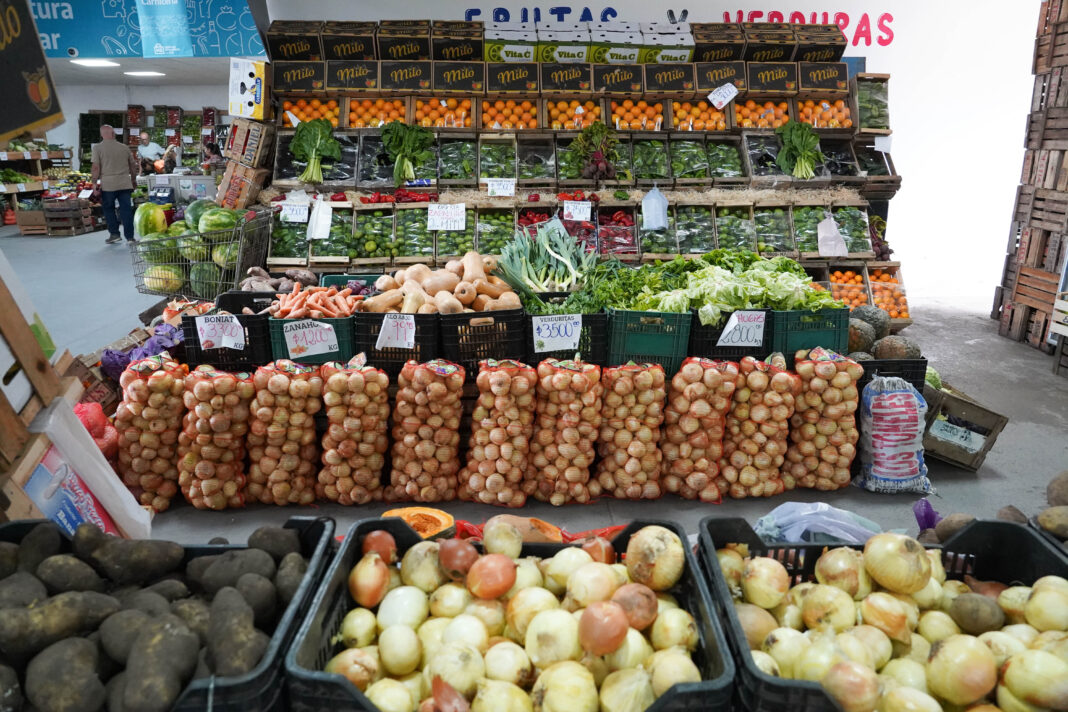Puesto de frutas y verduras muy surtido en el Mercado Bonaerense Fijo de La Plata, destacando bolsas grandes de cebollas en primer plano.