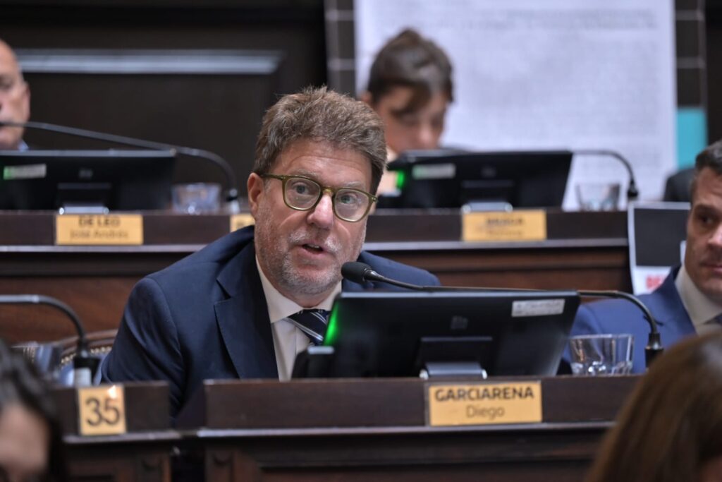 Diputado Diego Garciarena.