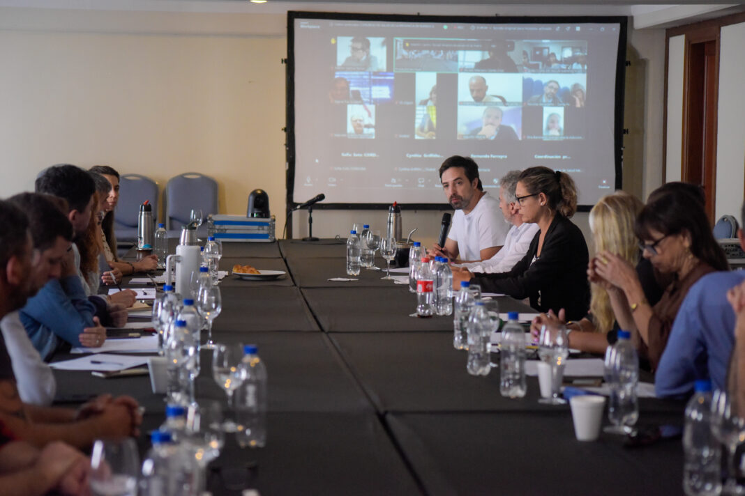 Nación presentó a las provincias el proyecto para modificar la Ley de Salud Mental 1 reunion de autoridades sanitarias en una mesa extensa y con participantes por videoconferencia