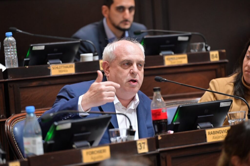 Diputado PRO Alejandro Rabinovich.