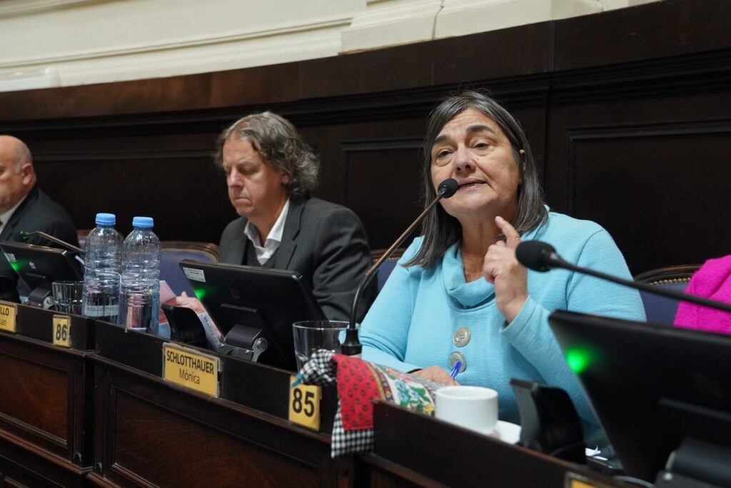 Diputada Mónica Schlottauer. FITU.
